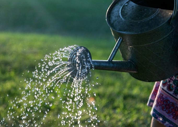 7 Bestes Tropfbewässerungssystem Für Gemüsegärten Im Jahr 2022