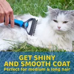 Haarentfernung bei Haustieren
