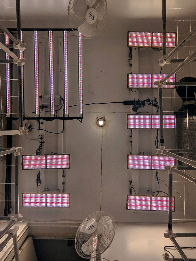 Meijiu Quantum Board LED Grow Light Bewertung
