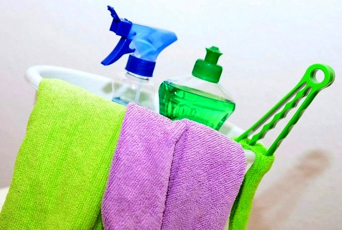 Top-Tipps Für Die Reinigung Ihres Gewächshauses – Machen Sie Es Mindestens Einmal Im Jahr!
